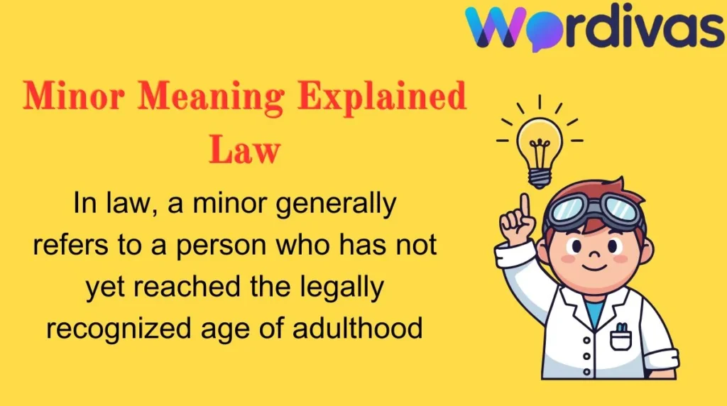 Minor Meaning Explained Law