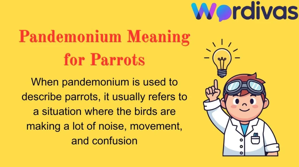 Pandemonium Meaning for Parrots
