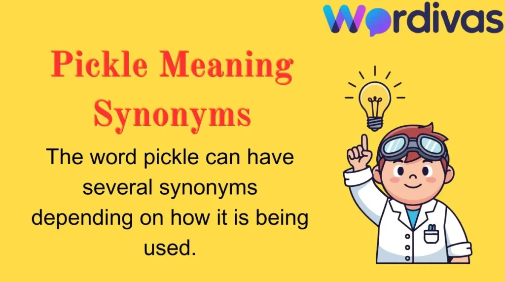 Pickle Meaning Synonyms