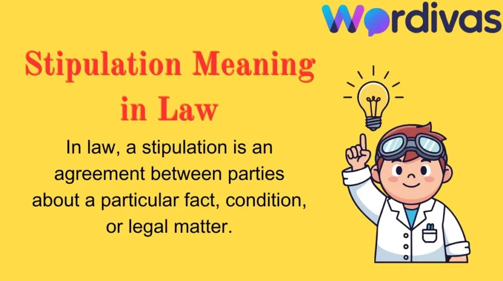 Stipulation Meaning in Law
