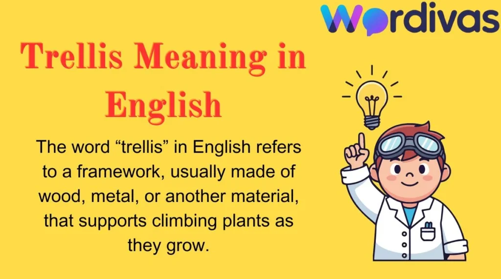 Trellis Meaning in English