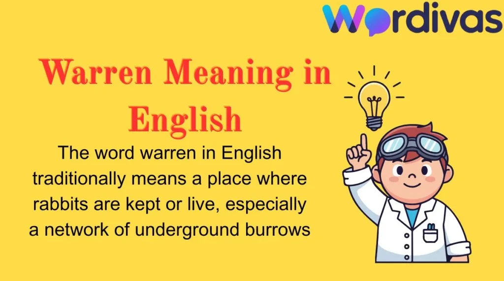 Warren Meaning in English
