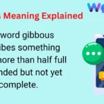 Gibbous Meaning Explained