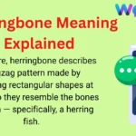 Herringbone Meaning Explained