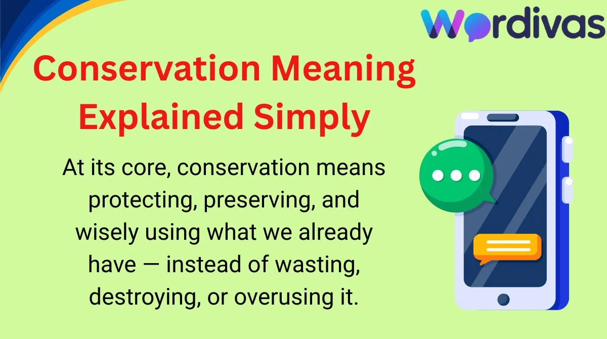 Conservation Meaning Explained Simply