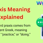 Praxis Meaning Explained