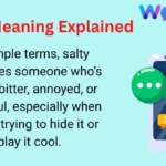 Salty Meaning Explained