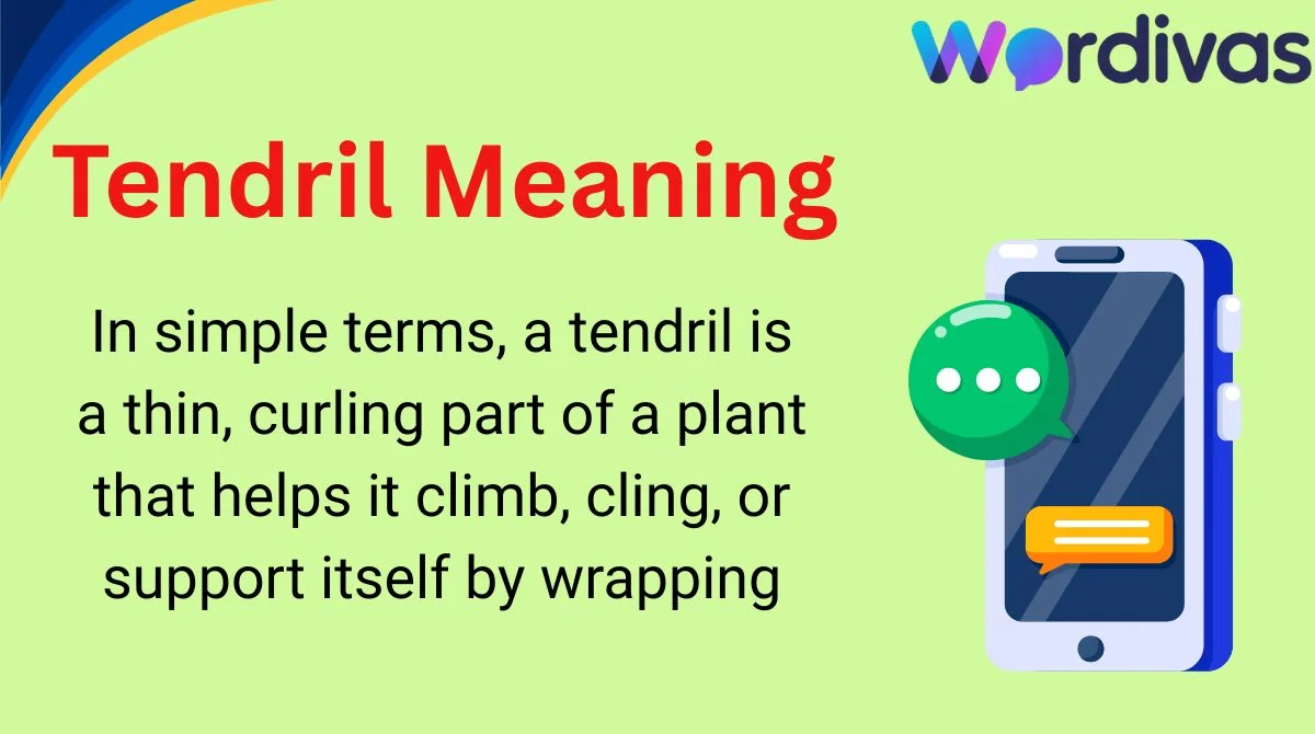 Tendril Meaning