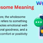 Wholesome Meaning