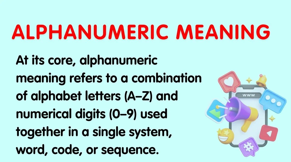 Alphanumeric Meaning