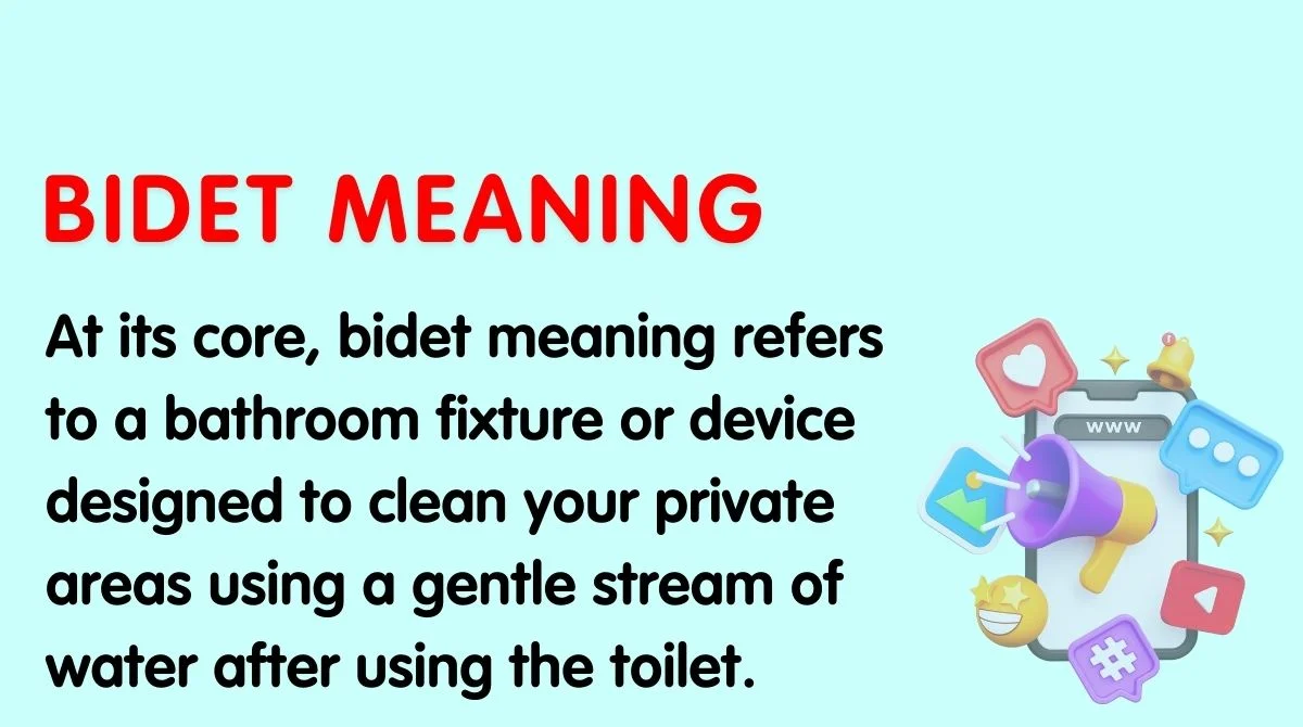 Bidet Meaning