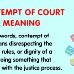 Contempt of Court Meaning