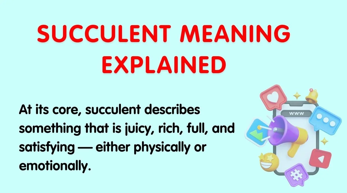 Succulent Meaning Explained