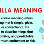 Vanilla Meaning