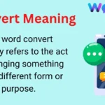 Convert Meaning
