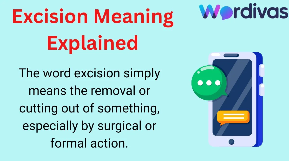 Excision Meaning Explained