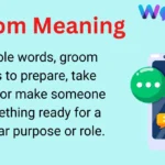 Groom Meaning