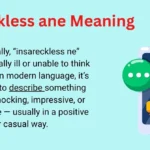 Insreckless ane Meaning