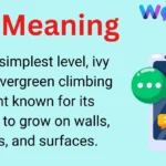 Ivy Meaning