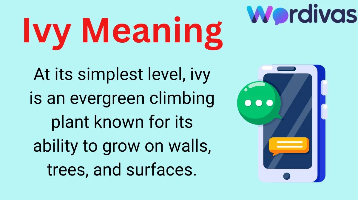 Ivy Meaning