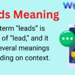 Leads Meaning
