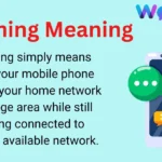 Roaming Meaning