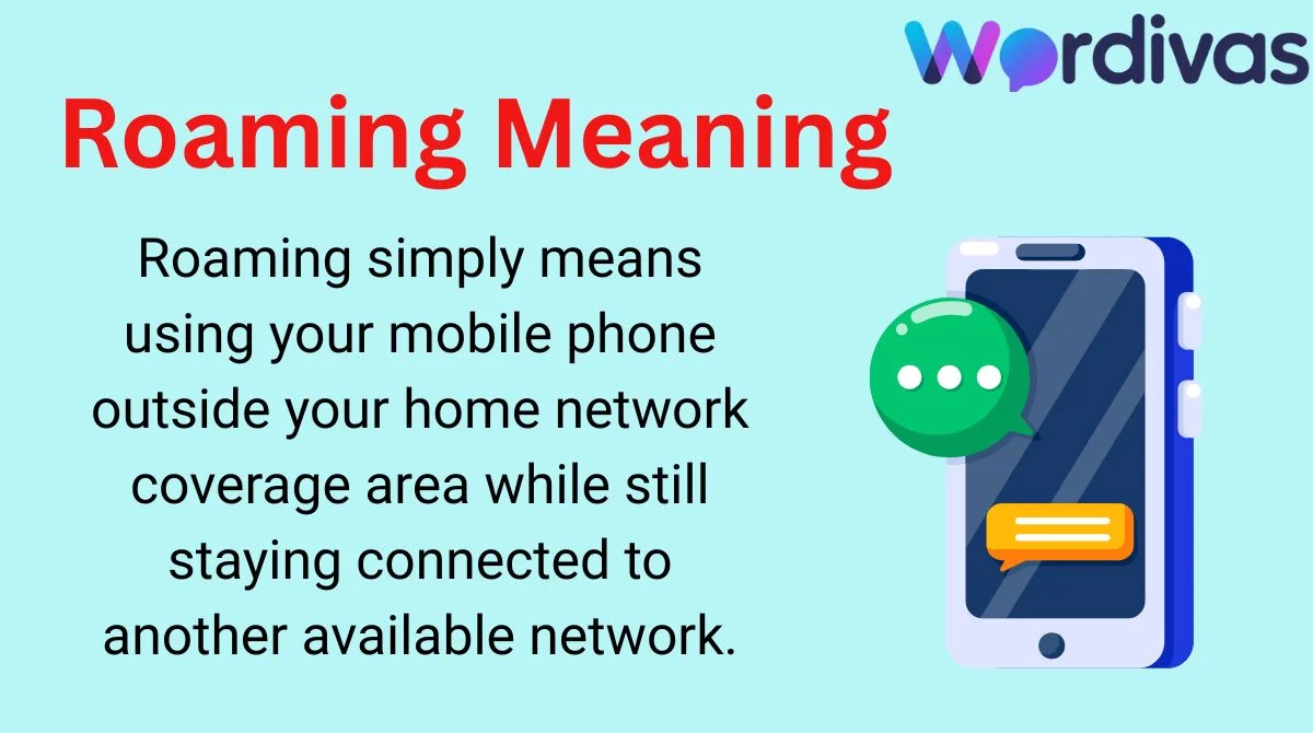 Roaming Meaning