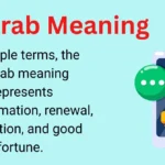 Scarab Meaning