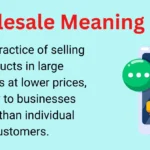Wholesale Meaning