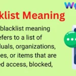 Blacklist Meaning