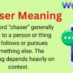 Chaser Meaning