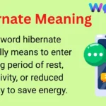 Hibernate Meaning