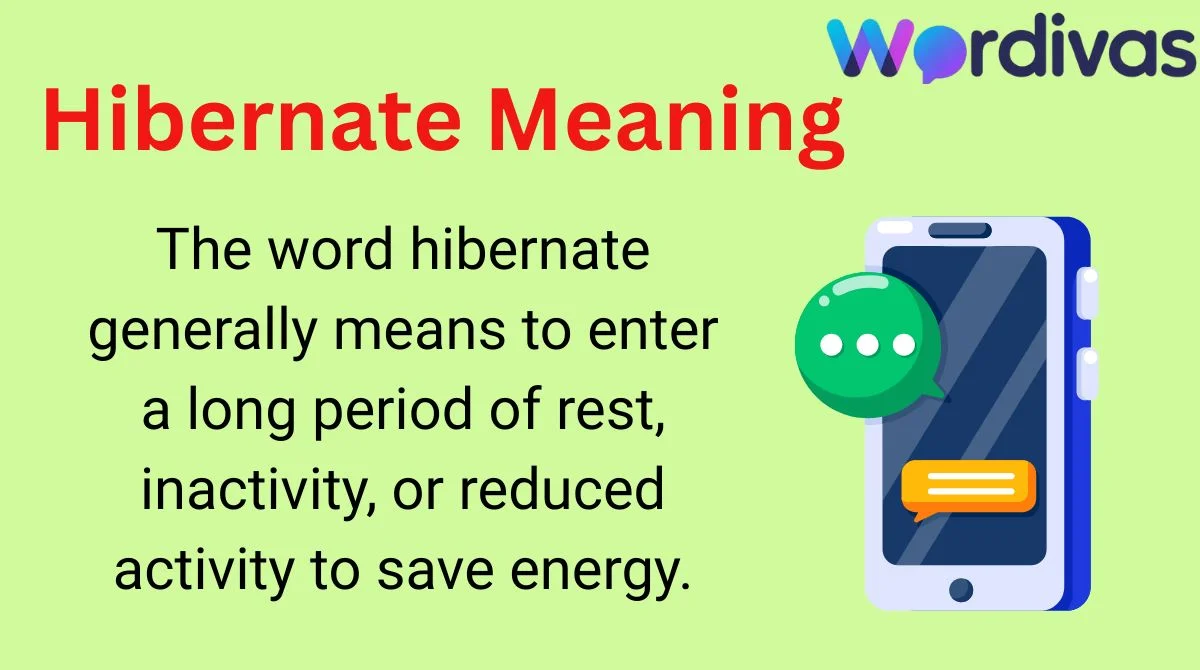 Hibernate Meaning