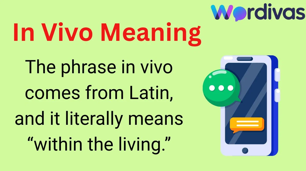 In Vivo Meaning