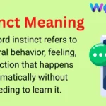 Instinct Meaning