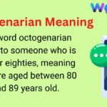 Octogenarian Meaning