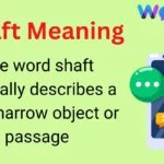 Shaft Meaning