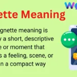 Vignette Meaning